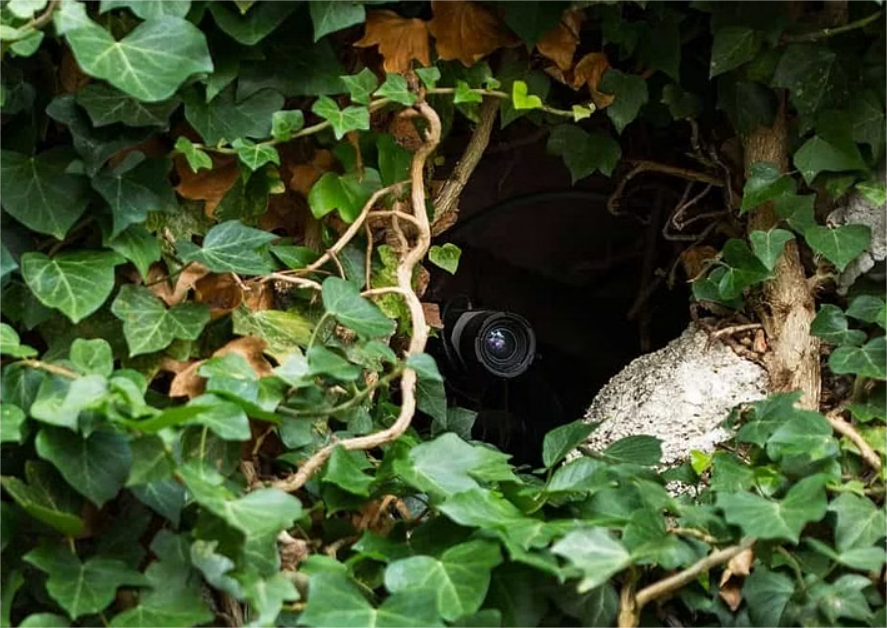 How to Hide a Security Camera and Why It Is Necessary